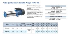 Grandfar 5CPm 100  1.5Hp 220V  Yatay Çok Kademeli Santrifüj Pompa