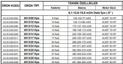 Alarko  6013/20 Kps  20Hp  6\'\' Paslanmaz Derin Kuyu Dalgıç Pompa (Motor+Pompa) ALK-KPS Serisi