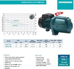 Momentum, HJWm/15H, 220V, 1.5Hp, Yüksek İrtifalı, Döküm Gövdeli Jet Pompa