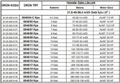 Alarko  6046/06 Kps  12.5Hp  6\'\' Paslanmaz Derin Kuyu Dalgıç Pompa (Motor+Pompa) ALK-KPS Serisi