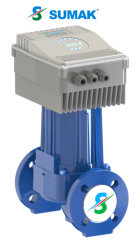 SSP65/12 INV 220V DN65 FREKANS KONTROLLÜ SİRKÜLASYON POMPASI