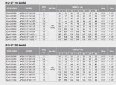 Etna APS KO-ST 8/6-22  3Hp 380V Komple Paslanmaz Çelik Dik Milli Çok Kademeli Kompakt Yapılı Yüksek Verimli Santrifüj Pompa - Aisi 304 - (2900 d/dk)