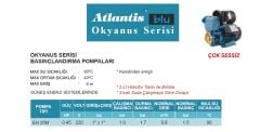 ATLANTİS BLU EN 25M  0.45HP 220V  KENDİNDEN EMİŞLİ SESSİZ BASINÇ ARTTIRICI GÜNEŞ ENERJİ POMPASI (HİDROFOR)-OKYANUS SERİ