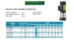 Atlantis Blu YKV6-80M  2Hp 220V  Dik Milli Çok Kademeli Pompa