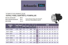ATLANTİS BLU  KAF1 100T/316 - 1 HP 380V KOMPLE PASLANMAZ ÇELİK KAPALI FANLI SANTRİFÜJ POMPA