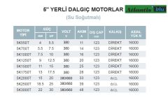 Atlantis 5K1000T  10Hp 380V  5'' Dalgıç Motor (Yerli-Su Soğutmalı)