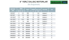 Atlantis 6K1000T   10Hp 380V  6'' Dalgıç Motor (Yerli-Su Soğutmalı)