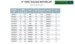 Atlantis 6K1250T   12.5Hp 380V  6'' Dalgıç Motor (Yerli-Su Soğutmalı)