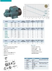 Momentum  PKM70   0.75Hp  220V  Preferikal Sürtme Fanlı Pompa