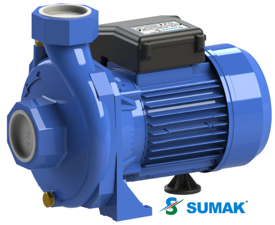 SM 160/2-S 1.5 HP 220V TEK KADEMELİ SICAK SU SANTRİFÜJ POMPA