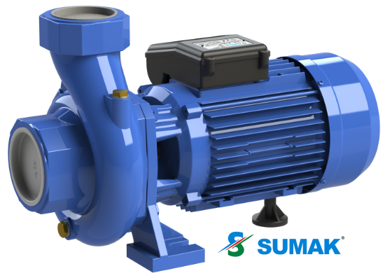 SM 220/3-S 2.2 HP 220V TEK KADEMELİ SICAK SU SANTRİFÜJ POMPA