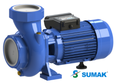SMT 300/4-S 3 HP 380V TEK KADEMELİ SICAK SU SANTRİFÜJ POMPA