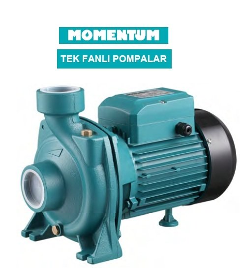 Momentum PHM/5AM  2Hp 220v Döküm Gövdeli Tek Fanlı Pompa