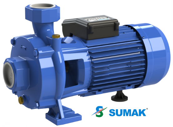 SMK 220/2-S 2.2 HP 220V SICAK SU ÇİFT KADEMELİ SANTRİFÜJ POMPA