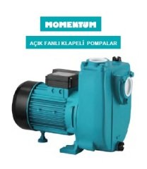 MOMENTUM PHSm2000 -2HP-220V- KLAPELİ SANTRİFÜJ POMPA