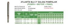 Atlantis Blu 3SDM3.5/12   0.75Hp 220V   3'' Dalgıç Pompa (pompa, motor, pano)