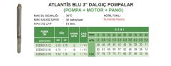 Atlantis Blu 3SDM3.5/19  1.25Hp 220V   3'' Dalgıç Pompa (pompa, motor, pano)