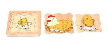 Tavuk Gelişim Evreleri Puzzle