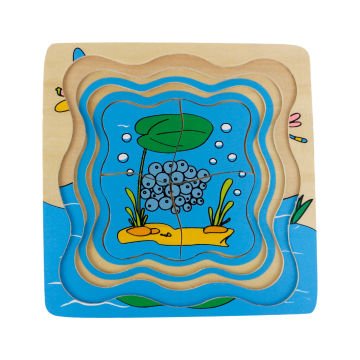 Kurbağa Gelişim Evreleri Puzzle