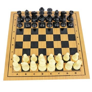 Satranç Takımı