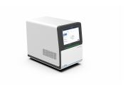 Allsheng Esan-Gene 696 Gerçek Zamanlı PCR