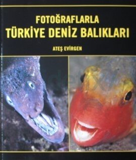 Fotoğraflarla Türkiye Deniz Balıkları