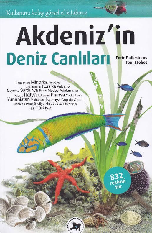 Akdeniz'in Deniz Canlıları