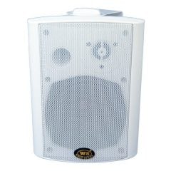 WEST SOUND CONTROL 5 100 Watt Hat Trafolu Duvar Hoparlörü