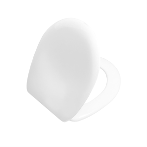 Norm Asma Klozet + Plastik Menteşeli Klozet Kapağı Kampanyası