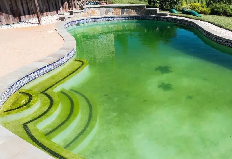 Yeşil bir yüzme havuzu nasıl temizlenir: eksiksiz kılavuz