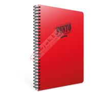 Gıpta Spiralli Defter Punto Plastik Kapak Çizgili 120 YP A4 6538