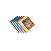 Comix Sıkıştırmalı Dosya Sırttan Klips Şeffaf Renkler QW324A