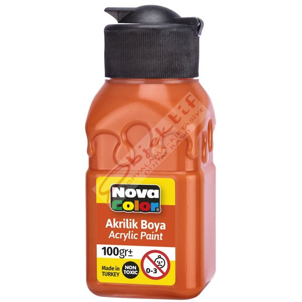 Nova Color Akrilik Boya Şişe 100 Cc Turuncu Nc-2017