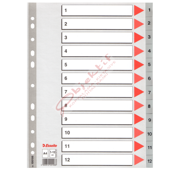 Esselte Seperatör 1-12 Rakamlı Plastik A4 100106