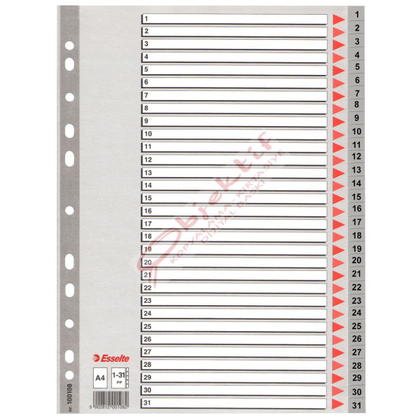 Esselte Seperatör 1-31 Rakamlı Plastik A4 100108