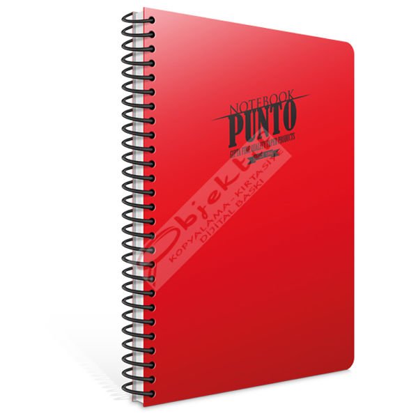 Gıpta Spiralli Defter Punto Plastik Kapak Çizgili 80 YP A4 6534
