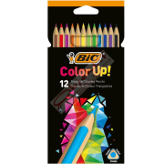 Bic Kuru Boya Color Up 12 Lİ 950527