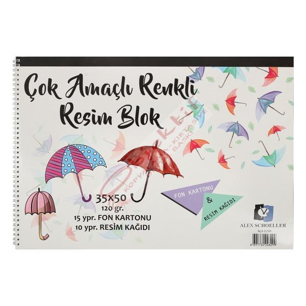 Alex Schoeller Resim Defteri Spiralli Çok Amaçlı 15 YP 35x50 120 GR ALx-0299