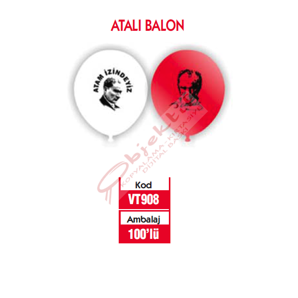 Vatan Balon Atam İzindeyiz 100 LÜ VT908