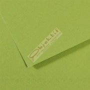 Canson Fon Kartonu (Dokulu) Mı-Teıntes 25 Lİ 50x65 160 GR 475 Apple Green 200321154