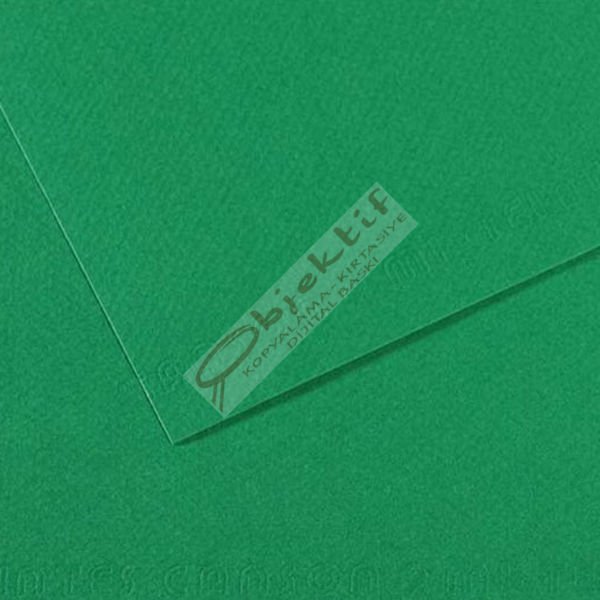Canson Fon Kartonu (Dokulu) Mı-Teıntes 25 Lİ 50x65 160 GR 575 Brıllıard Green 200321234