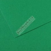 Canson Fon Kartonu (Dokulu) Mı-Teıntes 25 Lİ 50x65 160 GR 575 Brıllıard Green 200321234