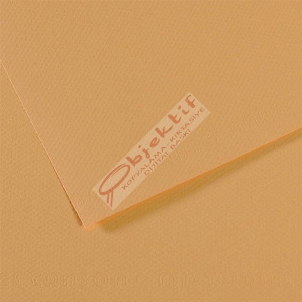 Canson Fon Kartonu (Dokulu) Mı-Teıntes 25 Lİ 50x65 160 GR 340 Lıght Hemp 200321044