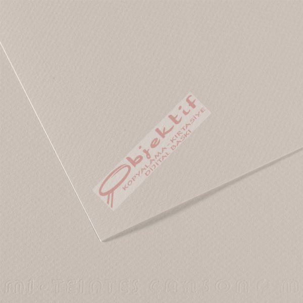 Canson Fon Kartonu (Dokulu) Mı-Teıntes 25 Lİ 50x65 160 GR 120 Pearl Grey 200321354