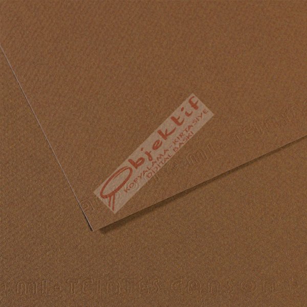 Canson Fon Kartonu (Dokulu) Mı-Teıntes 25 Lİ 50x65 160 GR 133 Sepia 200321404