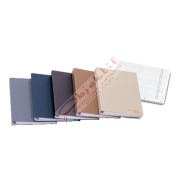 Bayındır Cari Hesap Klasör Yedeği Küçük 100 LÜ 17x24