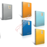 Gıpta Spiralli Defter Chromo Plastik Kapak Çizgili 100 YP A4 1491