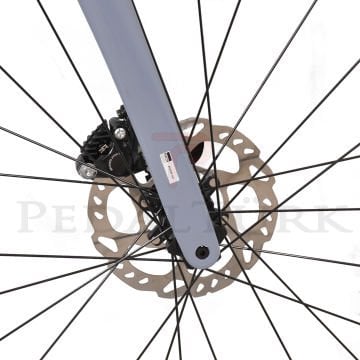 Bisan Mithra Ultegra Disk Fren 2x11