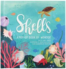 Shells: A Summer Pop-Up Book