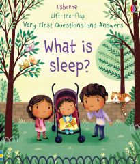 What is Sleep?  Lift-the-flap Very First Questions and Answers